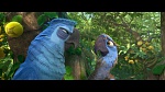 Image Rio 2