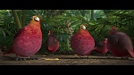Rio 2 picture