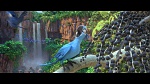 Rio 2 picture