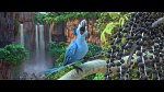 Rio 2 picture