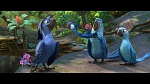 Rio 2 picture