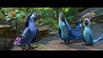 Rio 2 picture