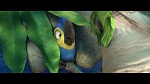 Rio 2 picture