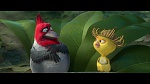 Rio 2 picture