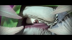Rio 2 picture