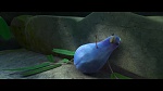 Rio 2 picture