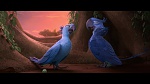 Rio 2 picture