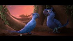 Image Rio 2