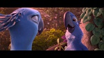 Rio 2 picture