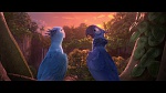 Rio 2 picture