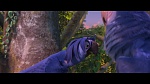 Rio 2 picture