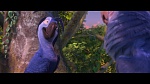 Rio 2 picture