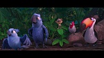 Rio 2 picture