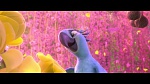 Rio 2 picture