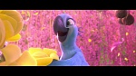 Rio 2 picture