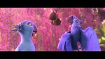 Rio 2 picture