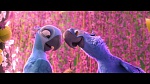 Rio 2 picture