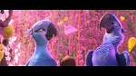Rio 2 picture