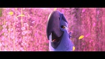 Rio 2 picture
