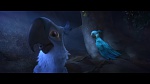 Rio 2 picture