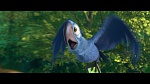 Rio 2 picture