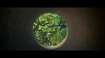 Rio 2 picture