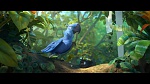 Rio 2 picture