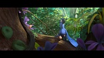 Rio 2 picture