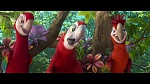 Rio 2 picture