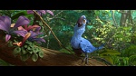 Image Rio 2