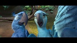 Rio 2 picture