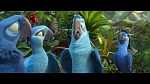 Rio 2 picture