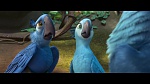 Rio 2 picture