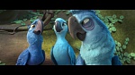 Rio 2 picture