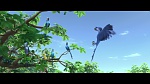 Rio 2 picture