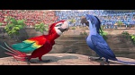 Image Rio 2