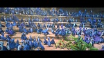 Rio 2 picture