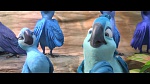 Rio 2 picture