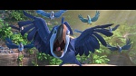 Rio 2 picture