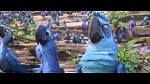Rio 2 picture