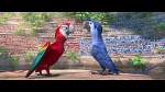 Rio 2 picture