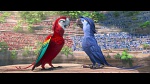 Rio 2 picture