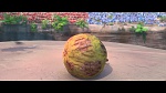 Rio 2 picture