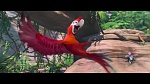Rio 2 picture