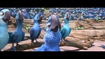 Rio 2 picture