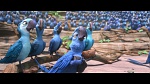 Rio 2 picture