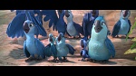 Rio 2 picture