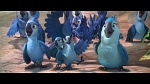 Rio 2 picture