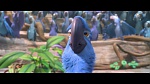 Rio 2 picture