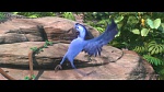 Rio 2 picture